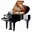 Klavierunterricht / Keyboardunterricht / Akkordeonunterricht