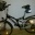 MTB-EVEREST 26Zoll,21Gang SHIMANO fast NEU.