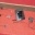 Fritzbox 7170