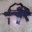 Softair G36c (vollauto.)