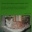 Wenn die Katze zum Freund wird