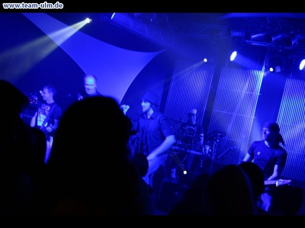 Shark @ Albeck - Bild 1