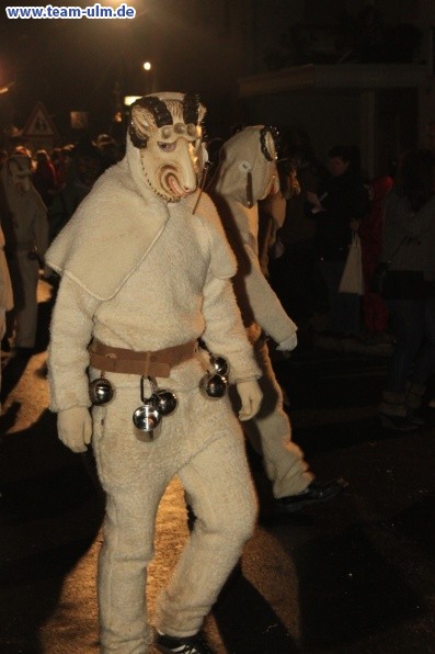 Nachtumzug @ Allmendingen - Bild 34