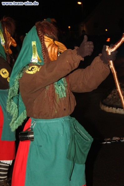 Nachtumzug @ Allmendingen - Bild 8