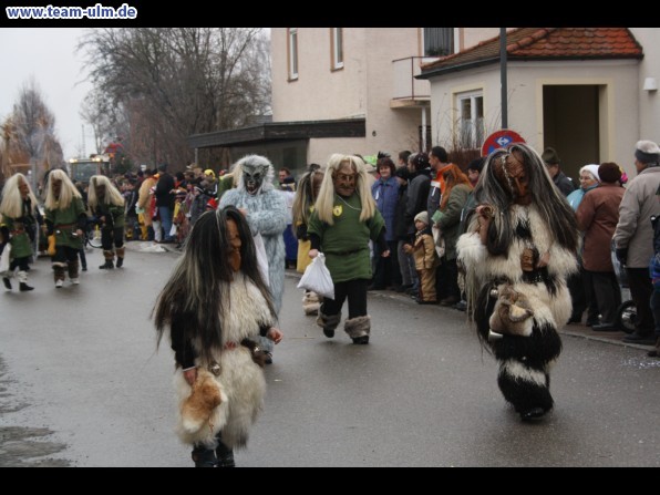 Faschingsumzug @ Altenstadt - Bild 12