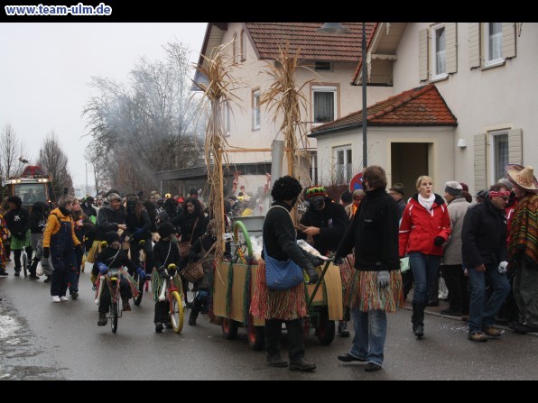 Faschingsumzug @ Altenstadt - Bild 13