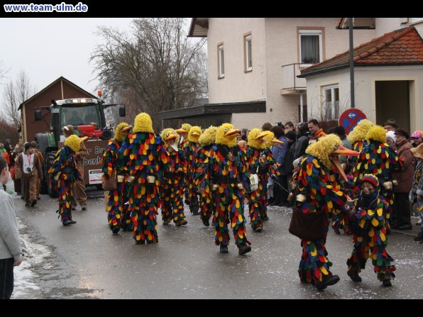 Faschingsumzug @ Altenstadt - Bild 16