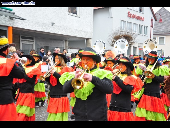 Faschingsumzug @ Altenstadt - Bild 235