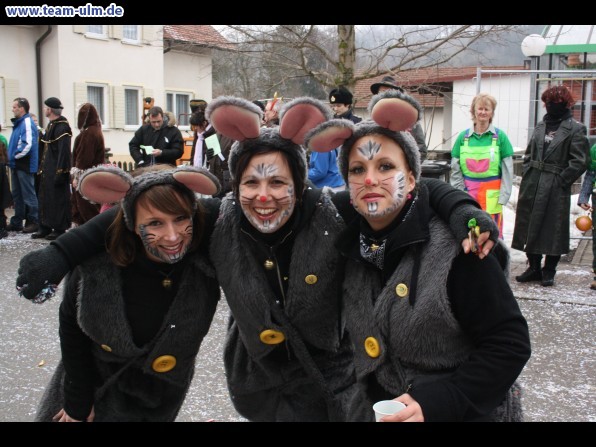 Faschingsumzug @ Altenstadt - Bild 24
