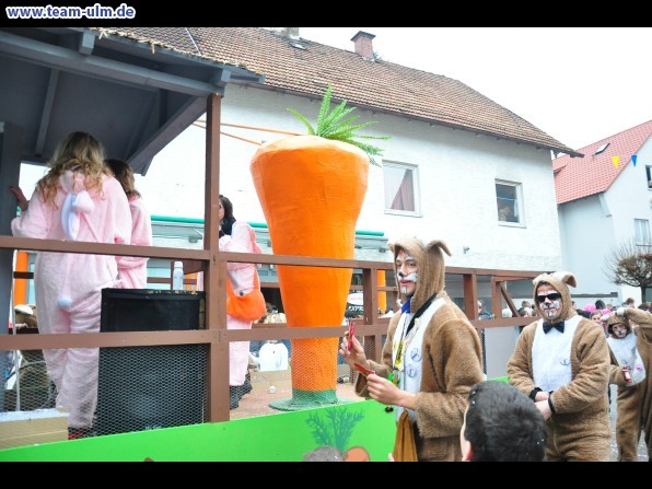 Faschingsumzug @ Altenstadt - Bild 243
