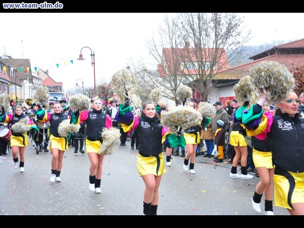 Faschingsumzug @ Altenstadt - Bild 248