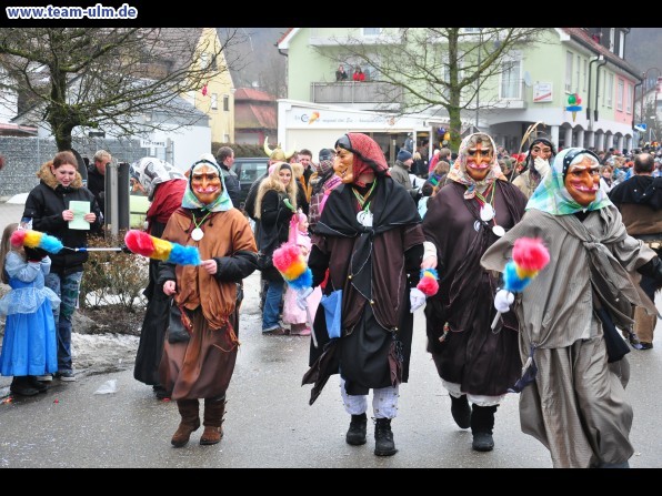 Faschingsumzug @ Altenstadt - Bild 259