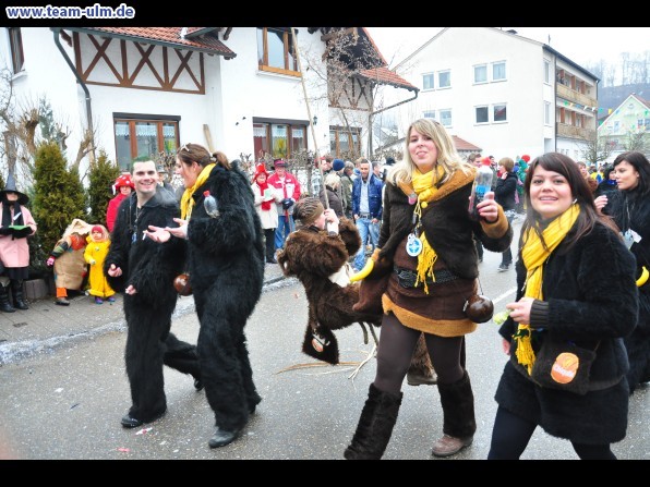Faschingsumzug @ Altenstadt - Bild 260