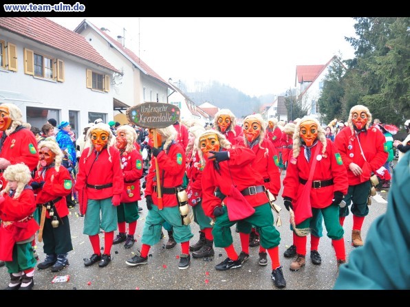 Faschingsumzug @ Altenstadt - Bild 263