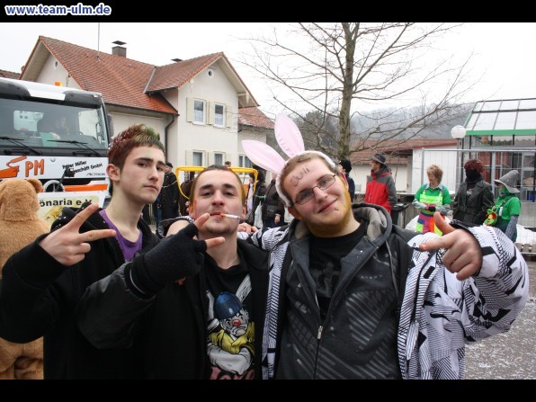 Faschingsumzug @ Altenstadt - Bild 27