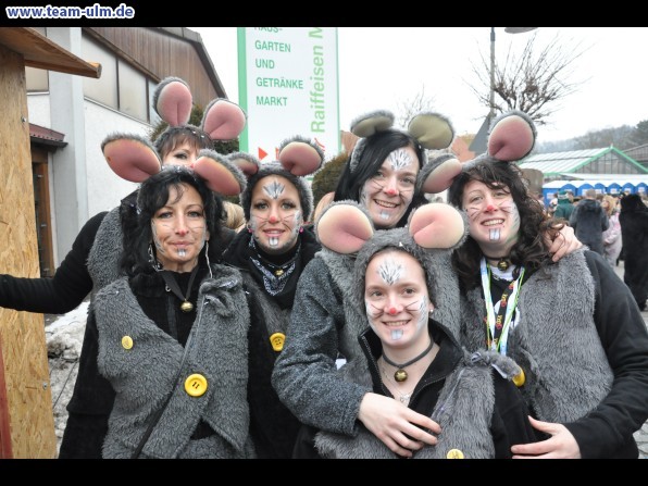 Faschingsumzug @ Altenstadt - Bild 347