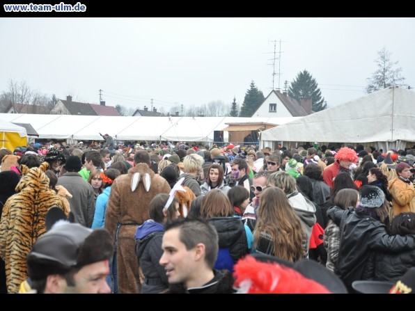 Faschingsumzug @ Altenstadt - Bild 361