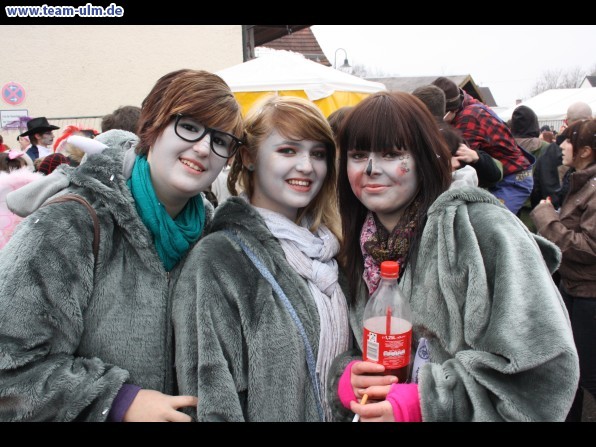 Faschingsumzug @ Altenstadt - Bild 57