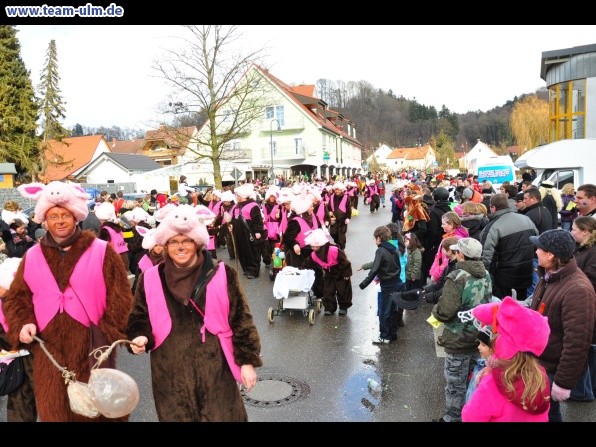 Faschingsumzug @ Altenstadt - Bild 102