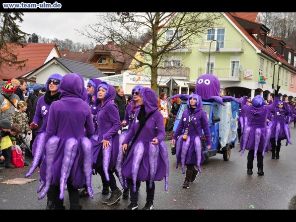 Faschingsumzug @ Altenstadt - Bild 81