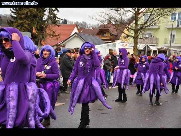 Faschingsumzug @ Altenstadt - Bild 83