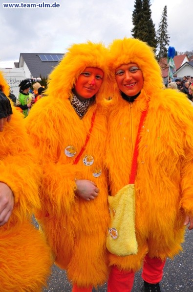 Faschingsumzug @ Altenstadt - Bild 91