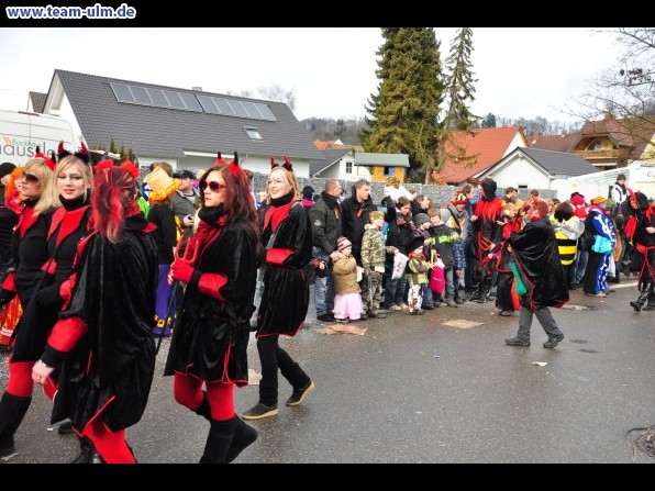 Faschingsumzug @ Altenstadt - Bild 98
