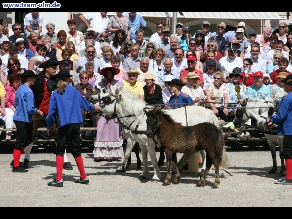 Festumzug zum Bauernsch&uuml;tzen @ Biberach - Bild 105