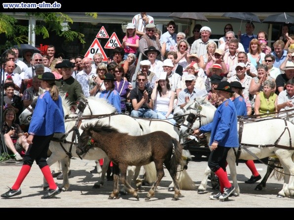 Festumzug zum Bauernsch&uuml;tzen @ Biberach - Bild 106