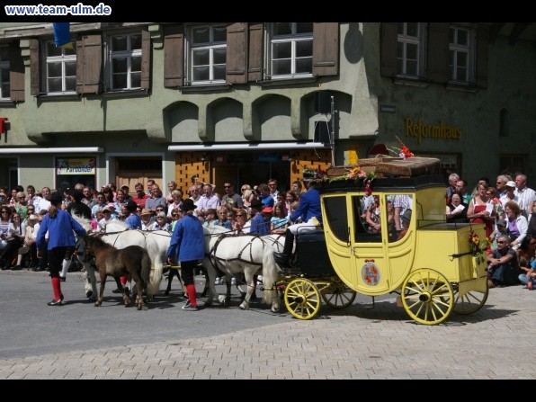 Festumzug zum Bauernsch&uuml;tzen @ Biberach - Bild 109
