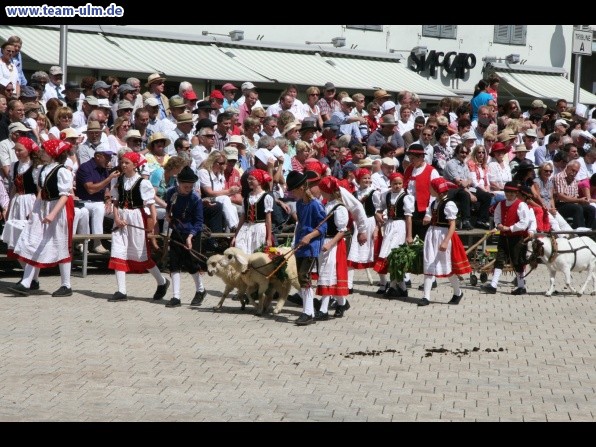 Festumzug zum Bauernsch&uuml;tzen @ Biberach - Bild 128