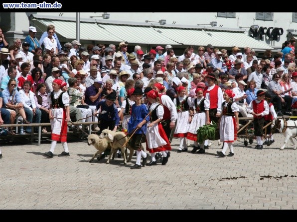Festumzug zum Bauernsch&uuml;tzen @ Biberach - Bild 129