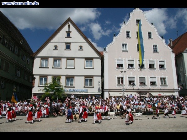 Festumzug zum Bauernsch&uuml;tzen @ Biberach - Bild 131