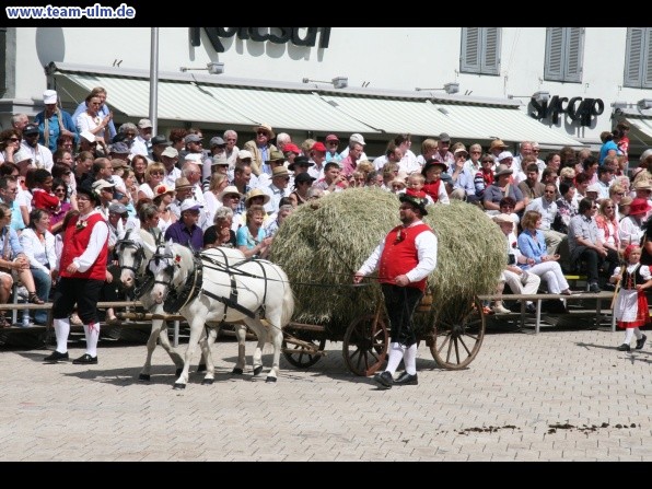 Festumzug zum Bauernsch&uuml;tzen @ Biberach - Bild 132