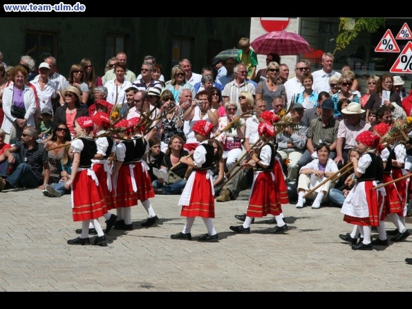 Festumzug zum Bauernsch&uuml;tzen @ Biberach - Bild 134