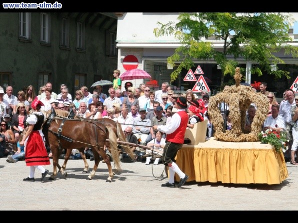 Festumzug zum Bauernsch&uuml;tzen @ Biberach - Bild 141