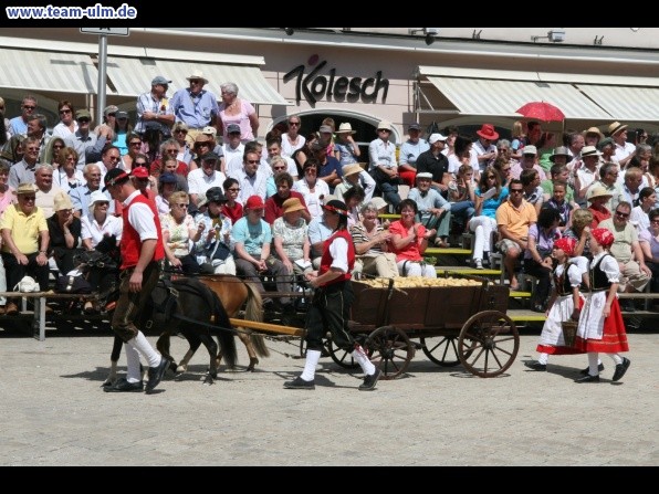 Festumzug zum Bauernsch&uuml;tzen @ Biberach - Bild 142
