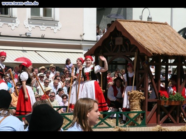 Festumzug zum Bauernsch&uuml;tzen @ Biberach - Bild 145