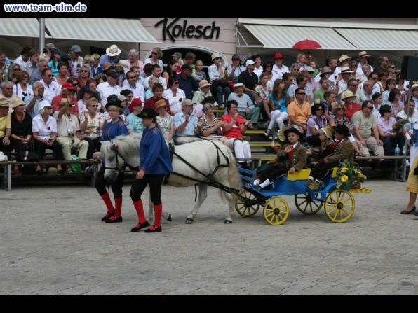 Festumzug zum Bauernsch&uuml;tzen @ Biberach - Bild 168