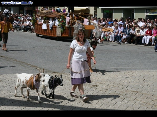 Festumzug zum Bauernsch&uuml;tzen @ Biberach - Bild 174