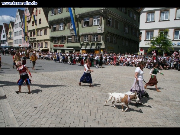 Festumzug zum Bauernsch&uuml;tzen @ Biberach - Bild 175