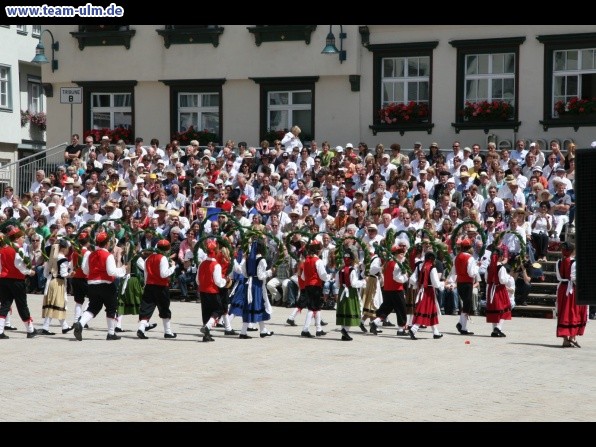 Festumzug zum Bauernsch&uuml;tzen @ Biberach - Bild 233
