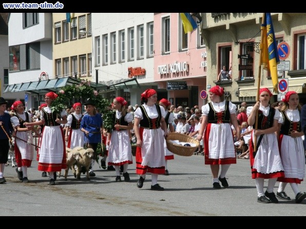 Festumzug zum Bauernsch&uuml;tzen @ Biberach - Bild 234
