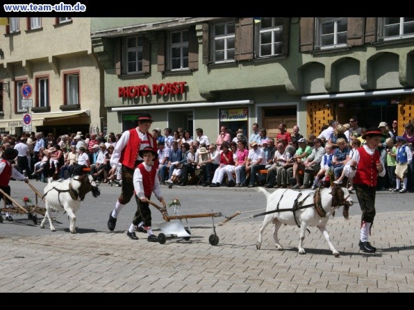 Festumzug zum Bauernsch&uuml;tzen @ Biberach - Bild 237