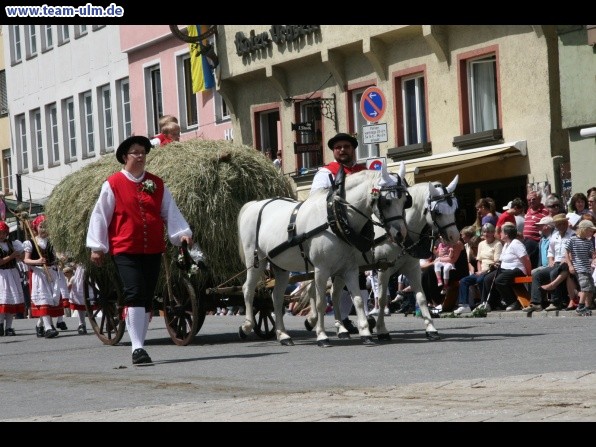 Festumzug zum Bauernsch&uuml;tzen @ Biberach - Bild 238