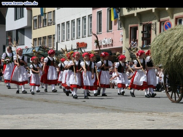 Festumzug zum Bauernsch&uuml;tzen @ Biberach - Bild 239