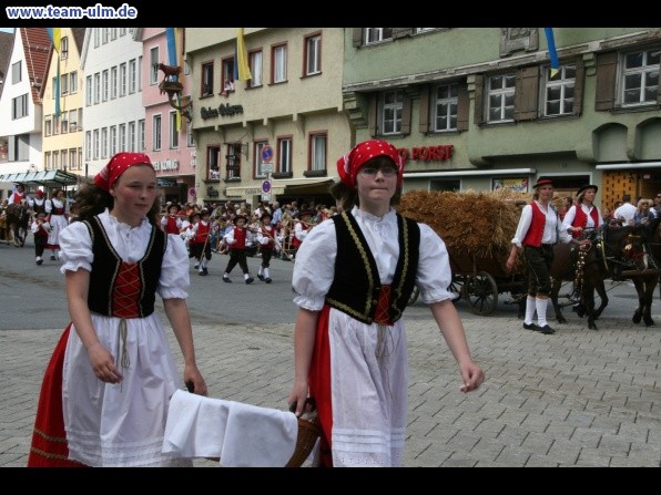 Festumzug zum Bauernsch&uuml;tzen @ Biberach - Bild 242