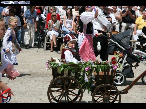 Festumzug zum Bauernsch&uuml;tzen @ Biberach - Bild 289