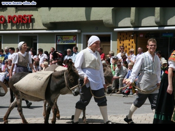 Festumzug zum Bauernsch&uuml;tzen @ Biberach - Bild 302