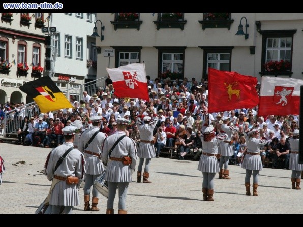 Festumzug - Fahnenschwinger @ Biberach - Bild 21